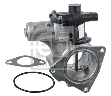 EGR Valve